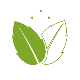 icons eco 02 The Best Sustainable Packaging Material For Your Business