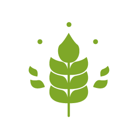 icons eco-07 icons eco 07 What is Green Packaging? Everything You Need to Know