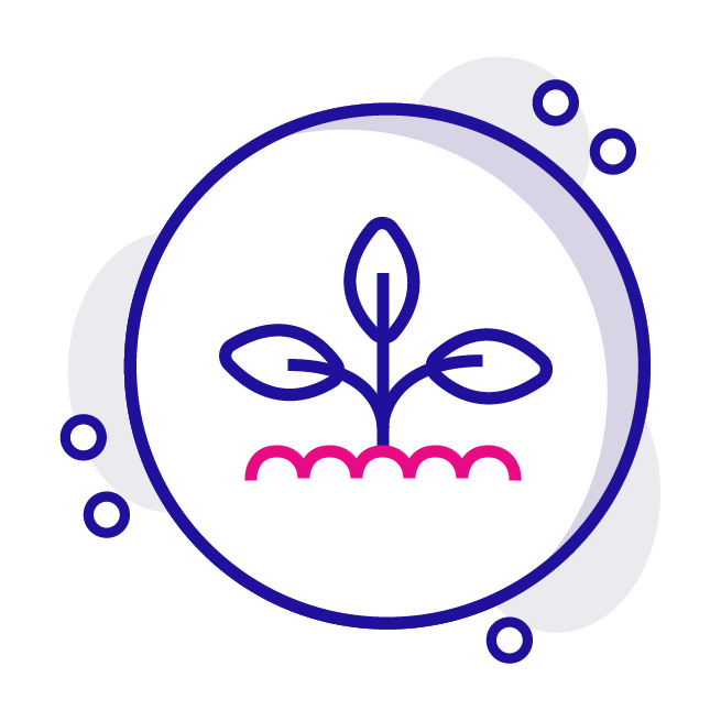 Chips_icon-09