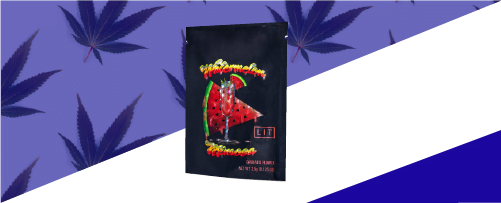Bags-09