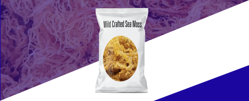 Bags-37