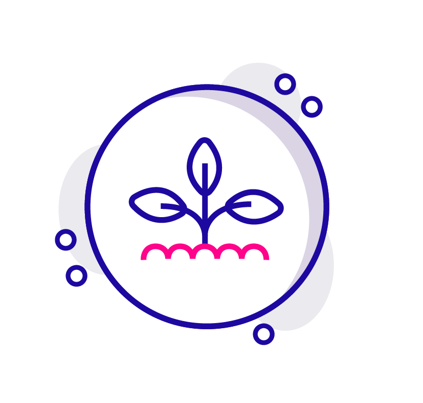 beef jerky carepac icons-26