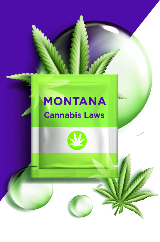 Montana cannabis laws-05 Montana cannabis laws 05 Montana Cannabis Laws