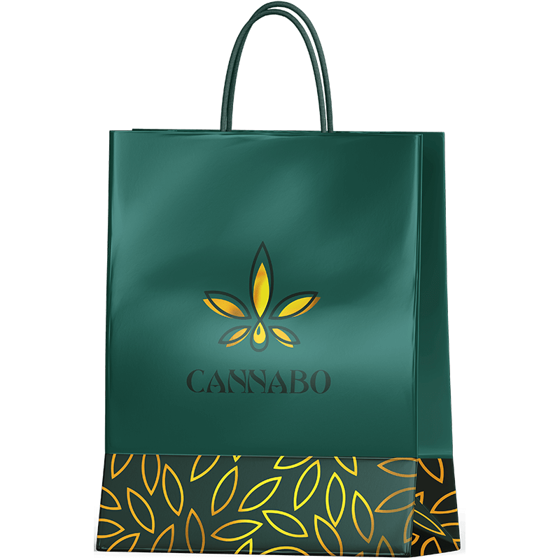 Hemp paper packaging Recycle Cannabo Green Printed Matte Finish Exit Bag with Handle