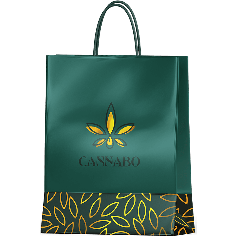 Weed Gift Bags Duplex Cannabis Pouch Hemp paper packaging Recycle Cannabo Green Printed Matte Finish Exit Bag with Handle
