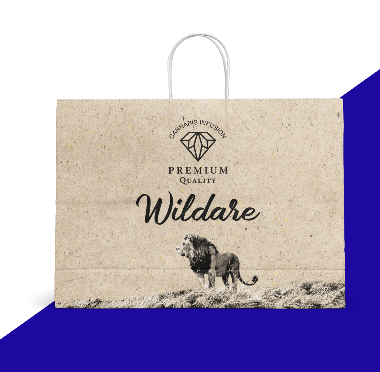Dispensary Compostable Packaging Printed Dispensary Bags Paper Pharmaceutical Medical Marijuana