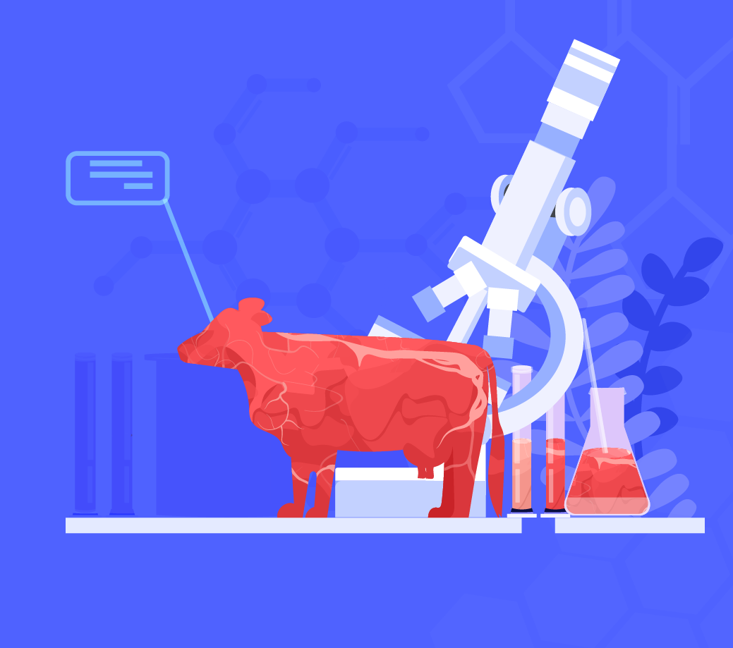 The meat itself, some factors are not considered by the USDA. This includes factors of the animal's diet, including grass-fed or grain-finished and if the animal was raised in a pasture or not.