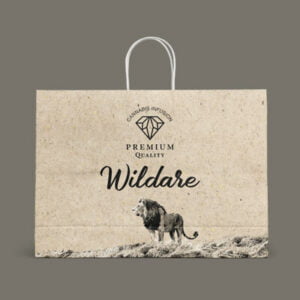 Compostable Dispensary Shopping Bag Cannabis based package sustainable shopping bag with twisted paper handle