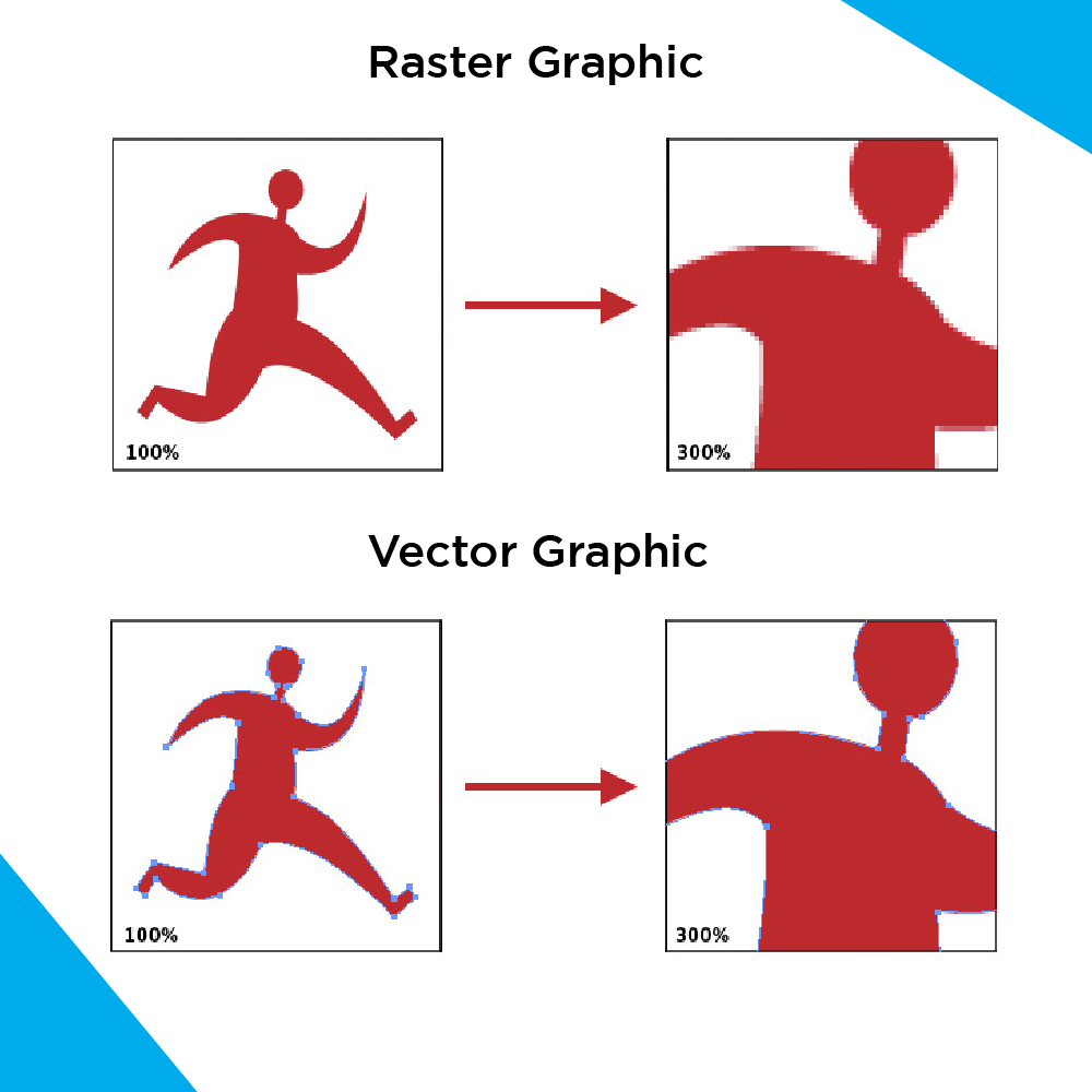 Vector and raster graphic How to Export Vector Content From Canva