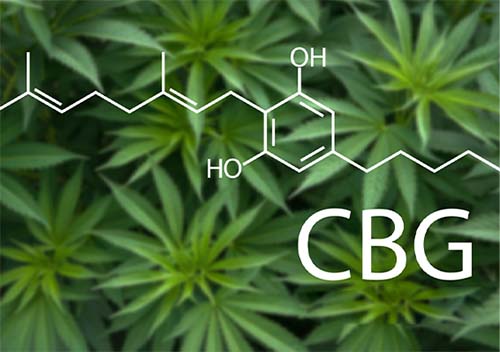 snacks-as-consumer-packaged-good snacks as consumer packaged good Cannabis as a Consumer Packaged Good
