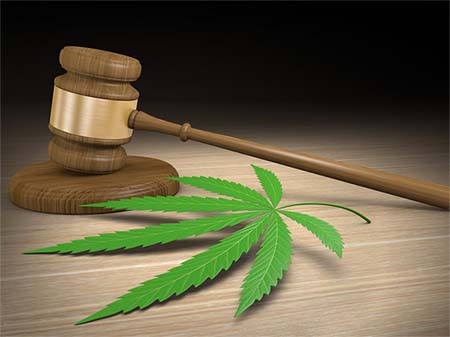 state-law-comply-cannabis-packaging state law comply cannabis packaging Types of Cannabis Packaging