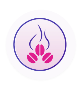 Icon-01